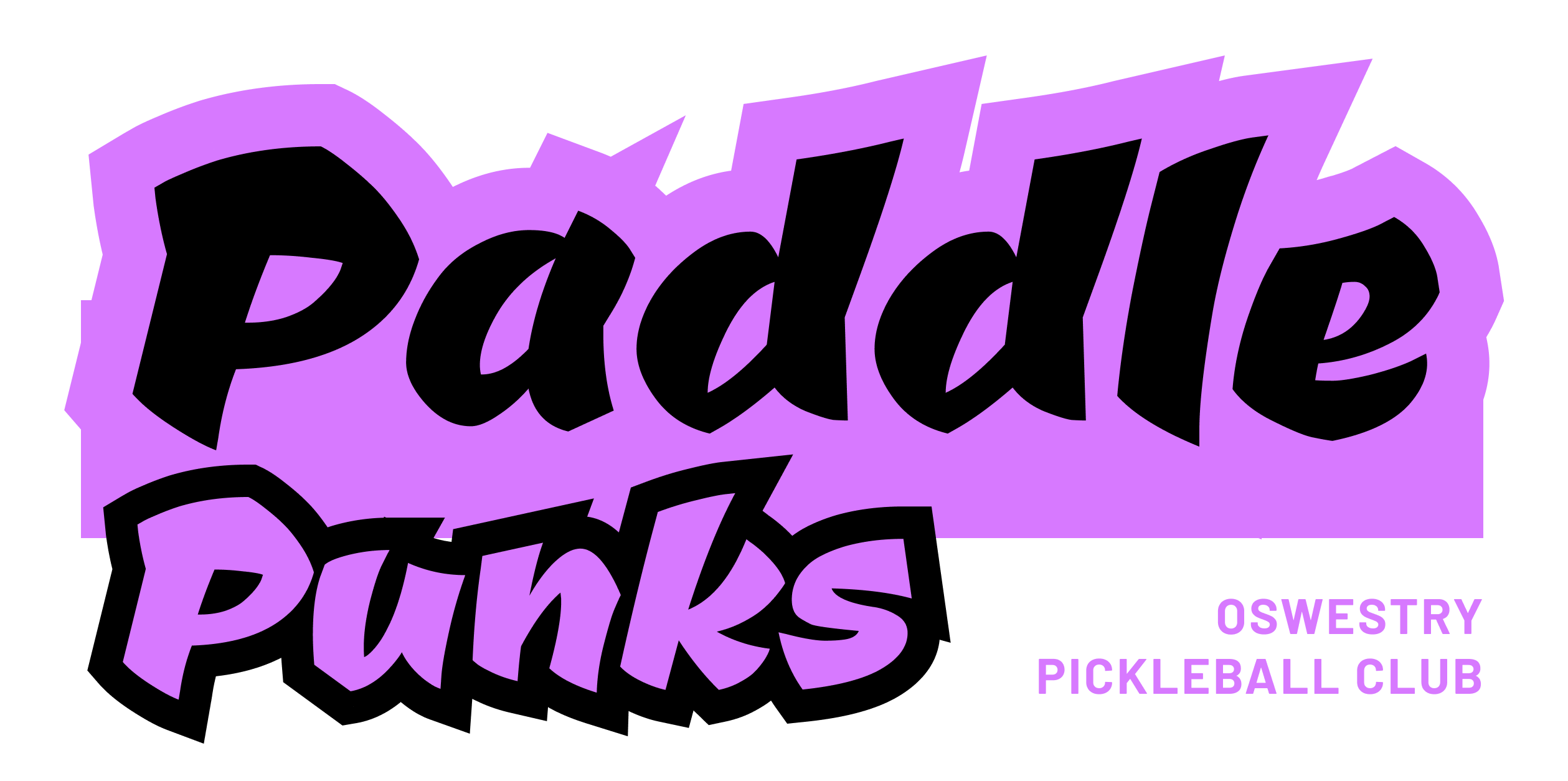 Paddle Punks logo